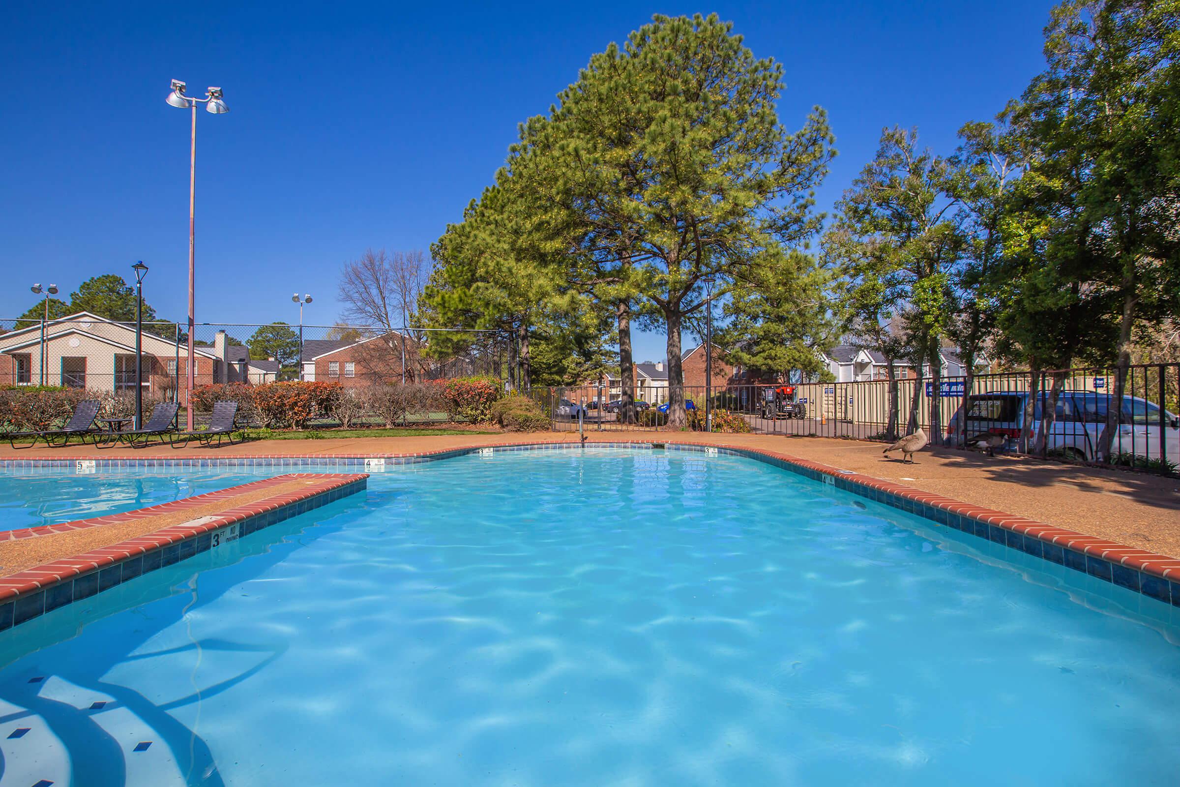 Outdoor pool surrounded by trees and apartment buildings.