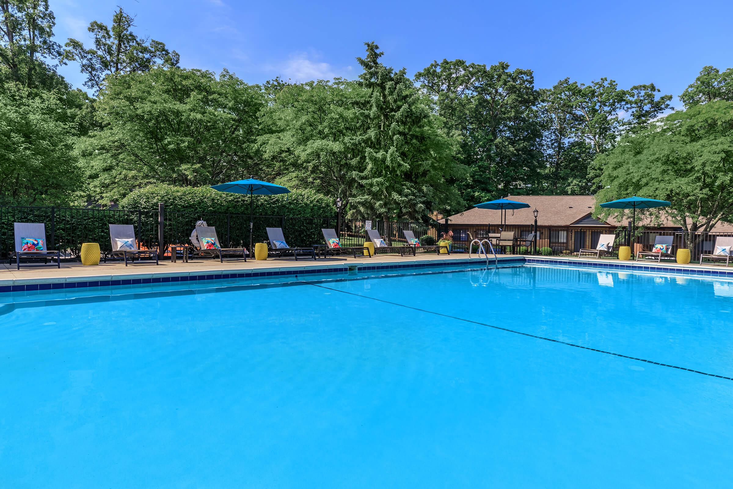 Outdoor swimming pool with surronding lounge chairs and trees