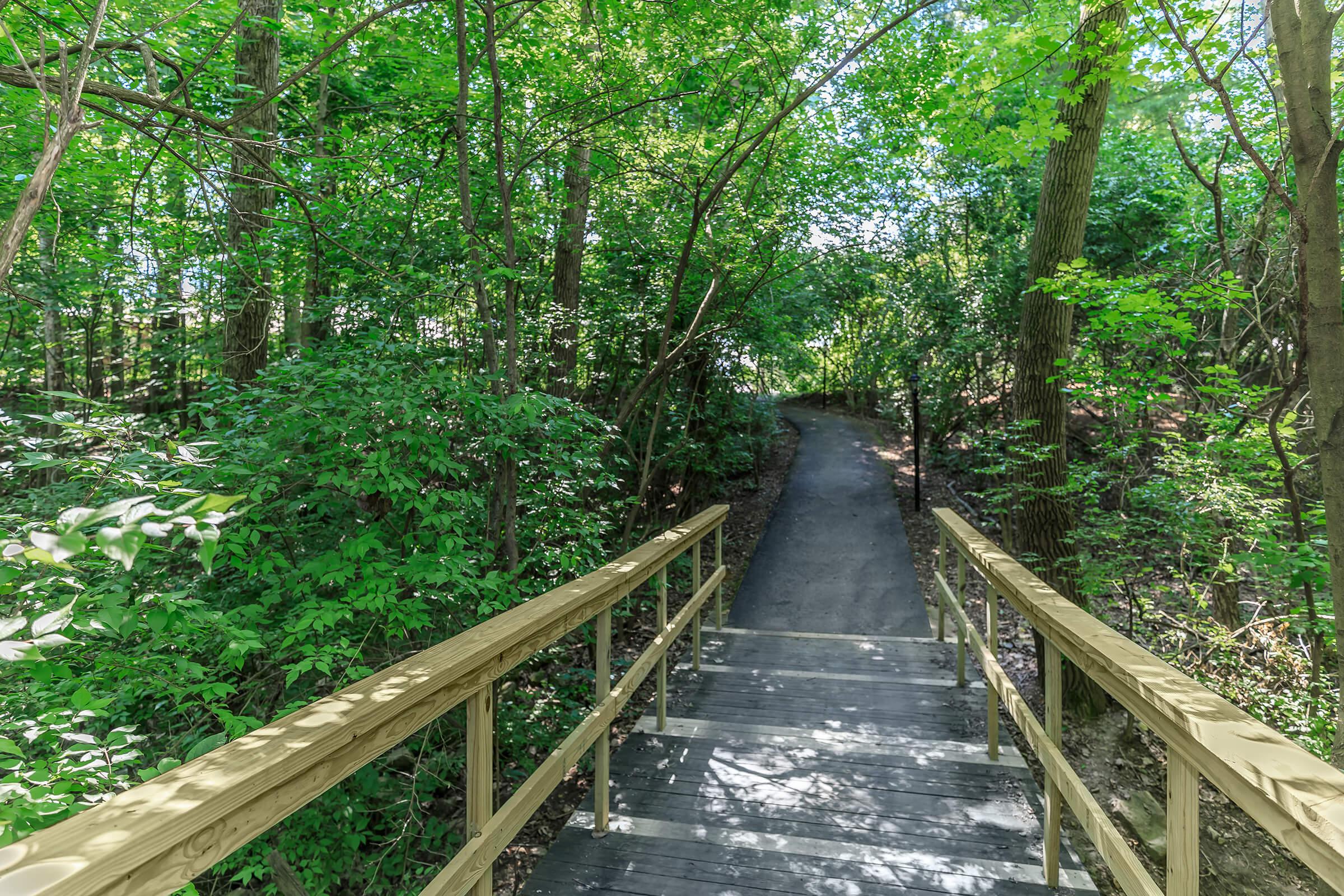 Wooden bridge with greenery and trees.